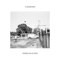 S. RAEKWON - Where I'm At Now (Orange Custard Coloured)