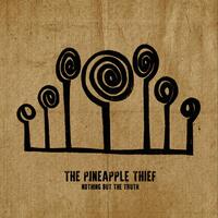 THE PINEAPPLE THIEF - Nothing But The Truth (140g Black Vinyl In Gatefold Sleeve)