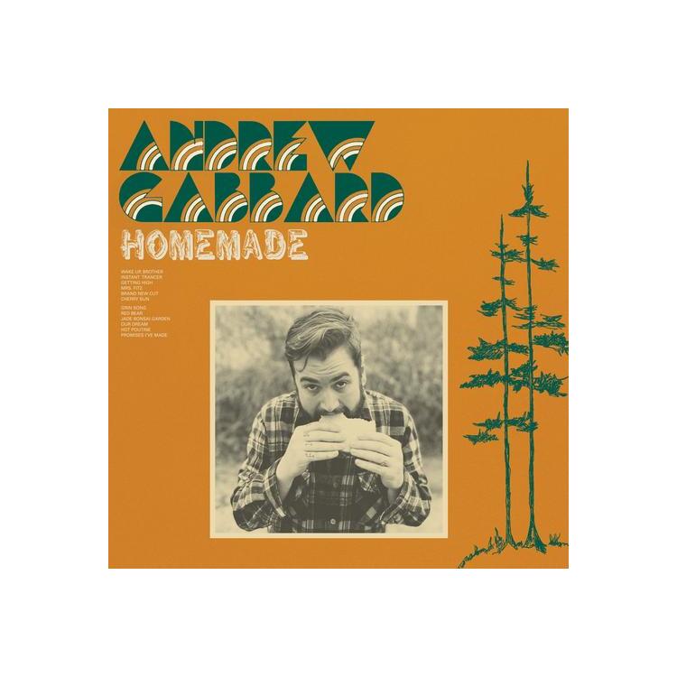 ANDREW GABBARD - Homemade (Camo Coloured Vinyl)