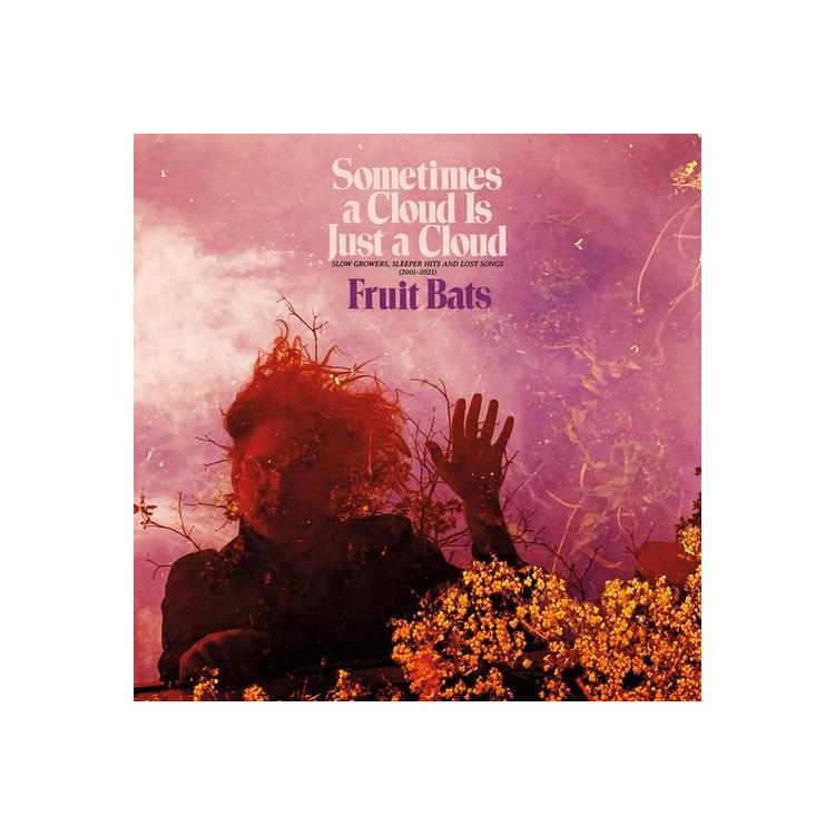 FRUIT BATS - Sometimes A Cloud Is Just A Cloud: Slow Growers, Sleeper Hits And Lost Songs (2001-2021)