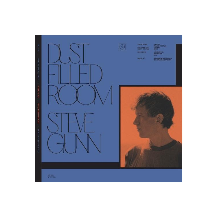 BILL FAY & STEVE GUNN - Dust Filled Room