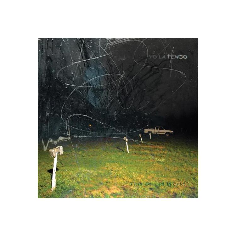 YO LA TENGO - This Stupid World