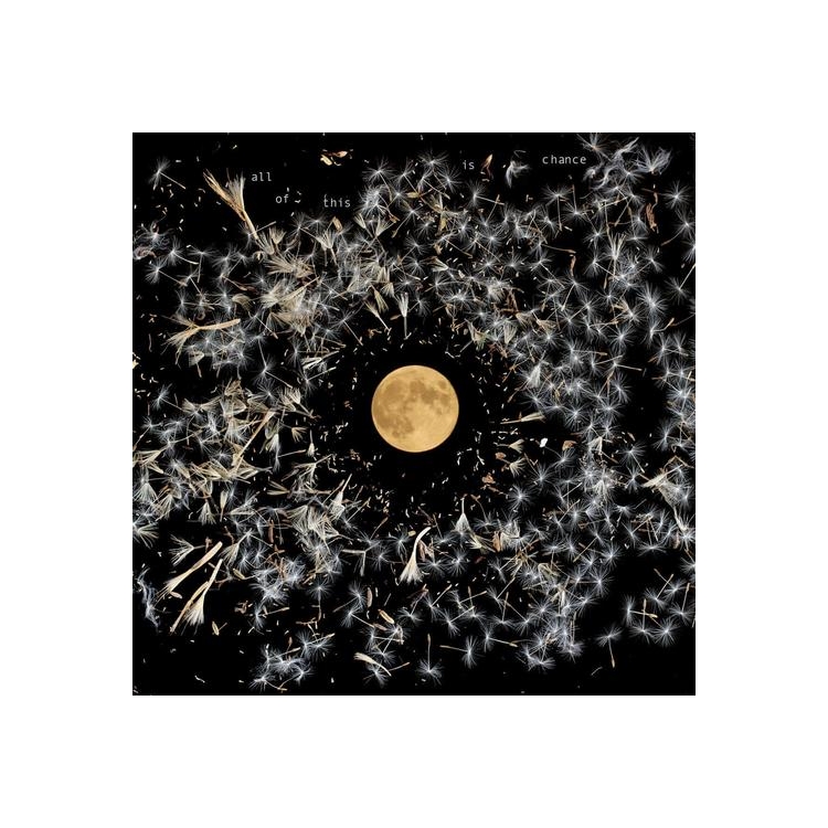 LISA O'NEILL - All Of This Is Chance