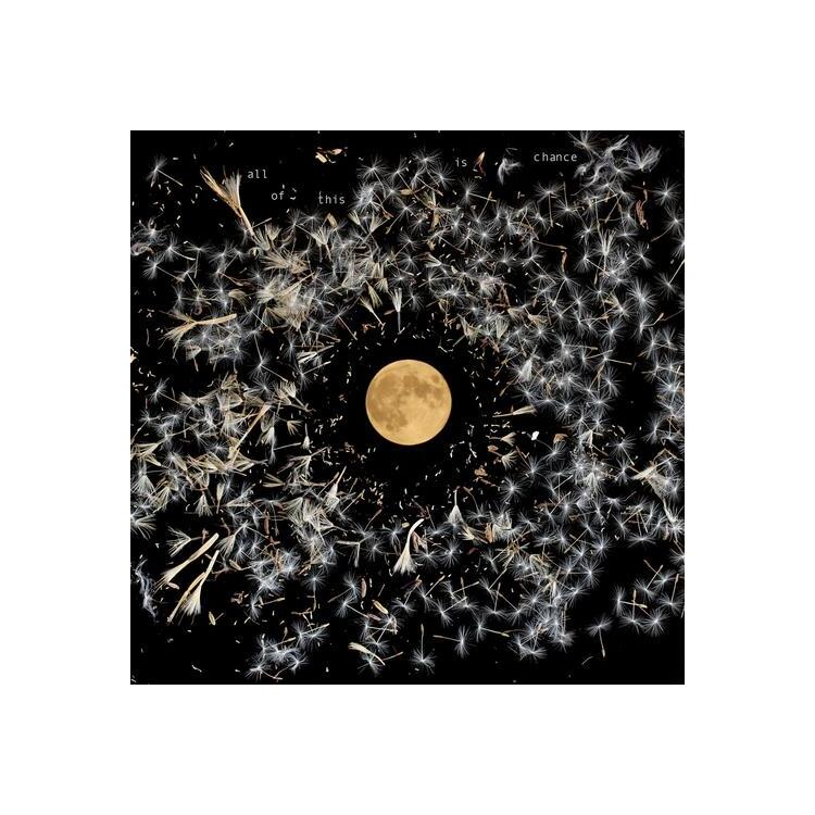 LISA ONEILL - All Of This Is Chance (Metallic Silver)