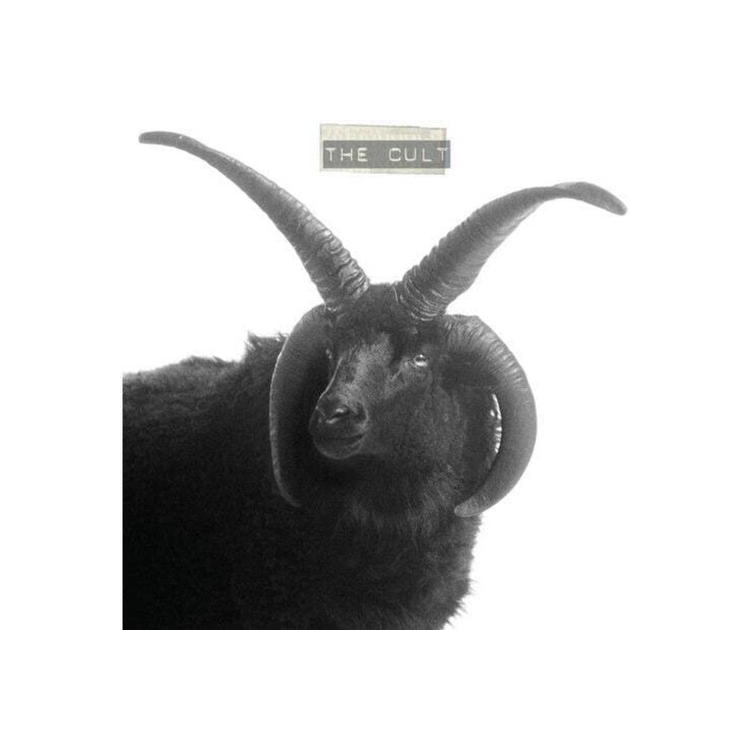 THE CULT - The Cult