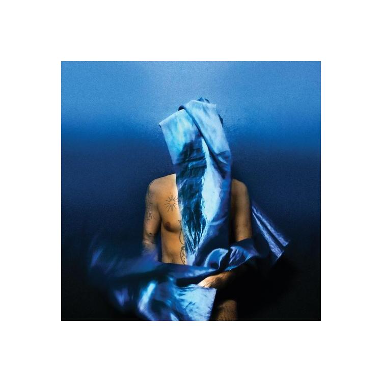 DEVENDRA BANHART - Flying Wig