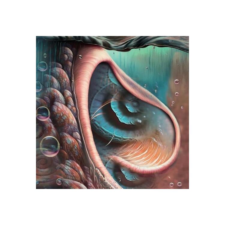 MEDDLE REIMGAINED - A TRIBUTE TO PINK FLOYD / VAR - Meddle Reimgained - A Tribute To Pink Floyd / Var