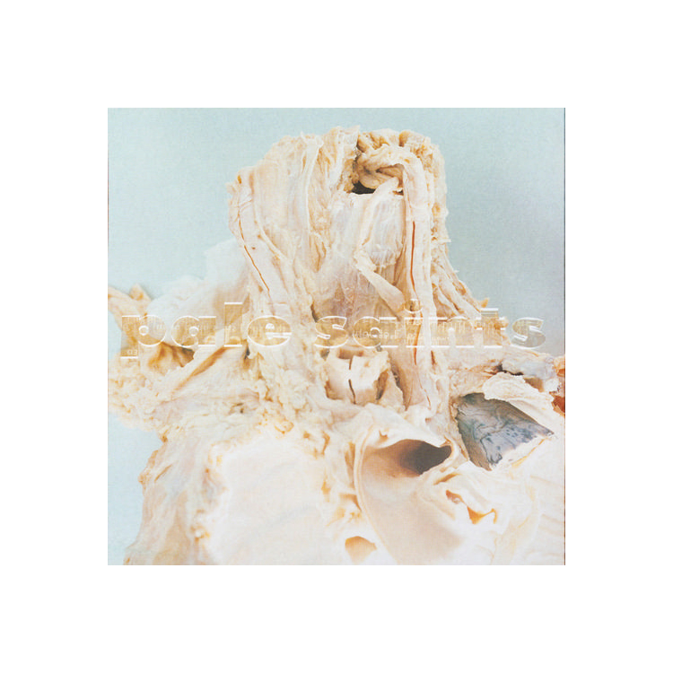 PALE SAINTS - In Ribbons (White)
