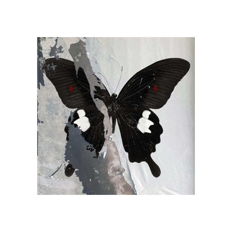 DEATH CULT - Paradise Now (Clear Wht/blk Splatter)