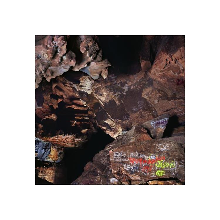 CLEEK SCHREY - Beehive Cathedral