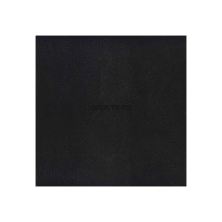 VINCE STAPLES - Dark Times
