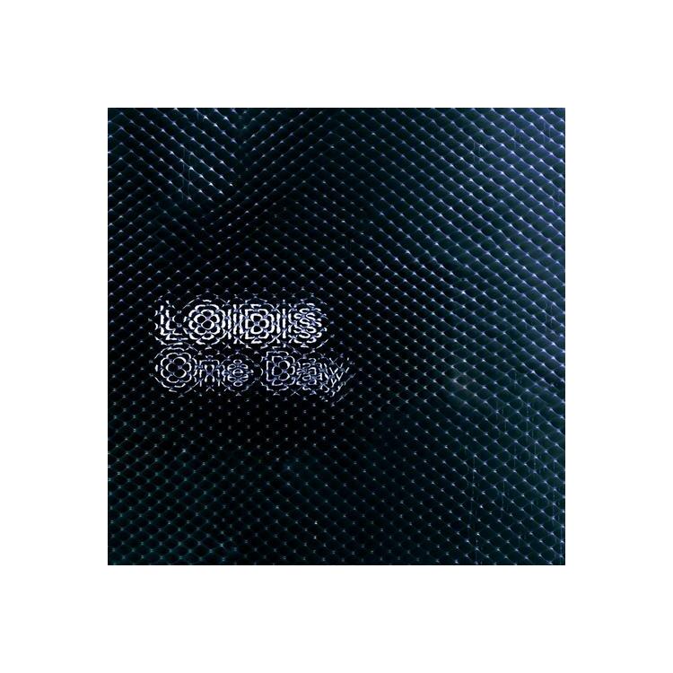 LOIDIS - One Day (2026 Repress Vinyl)