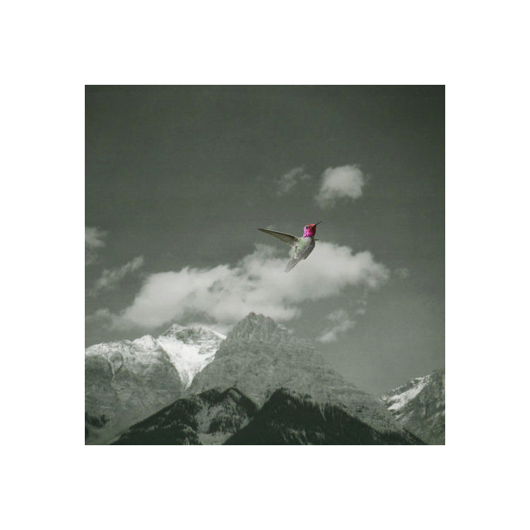 BARDO POND - Melt Away