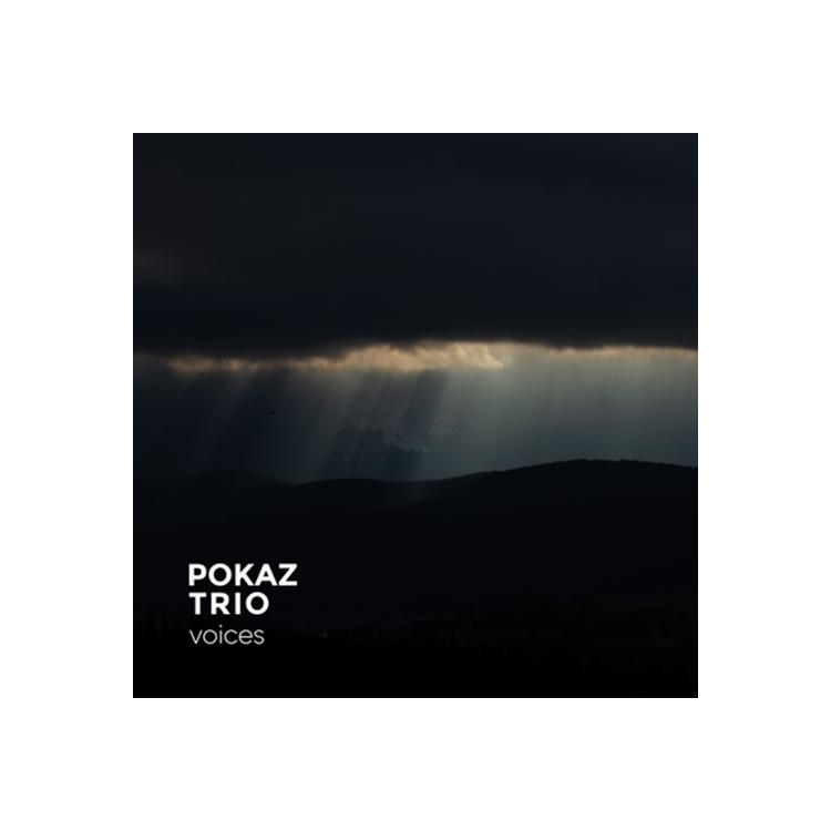 POKAZ TRIO - Voices (Vinyl)