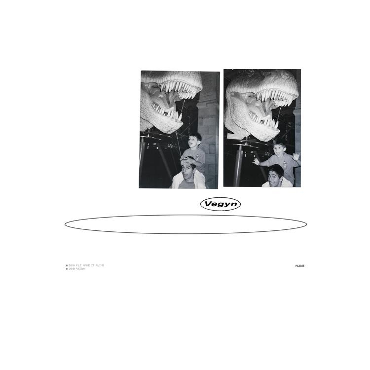 VEGYN - Only Diamonds Cut Diamonds (Repress Vinyl)