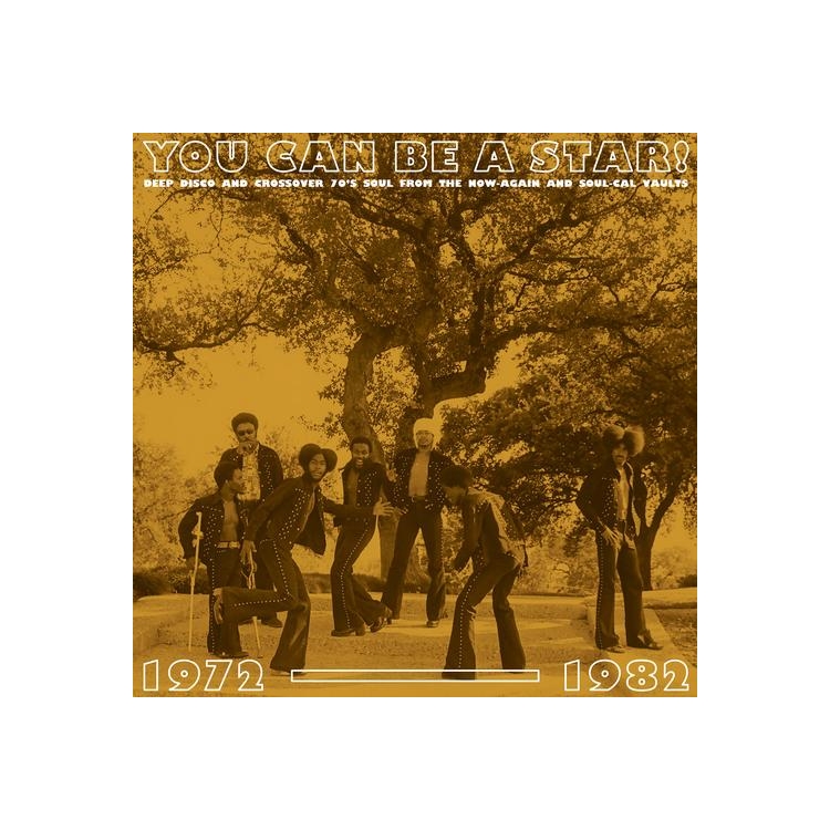 VARIOUS ARTISTS - You Can Be A Star!: Deep Disco & Soul 1972-1982 (Vinyl)