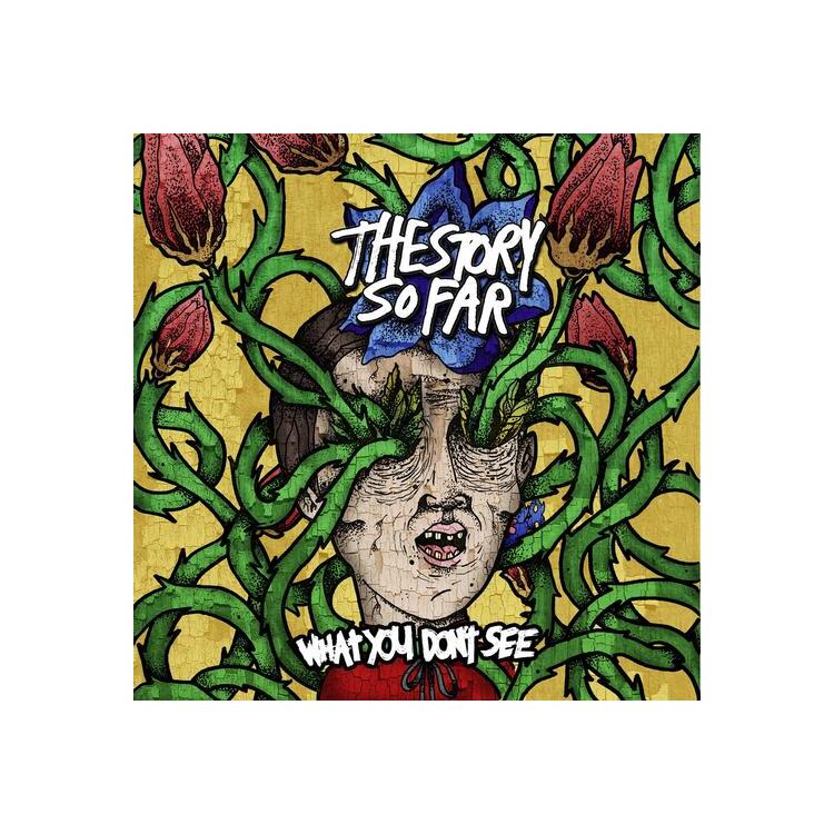 THE STORY SO FAR - What You Don't See (Tide Pods Marble)