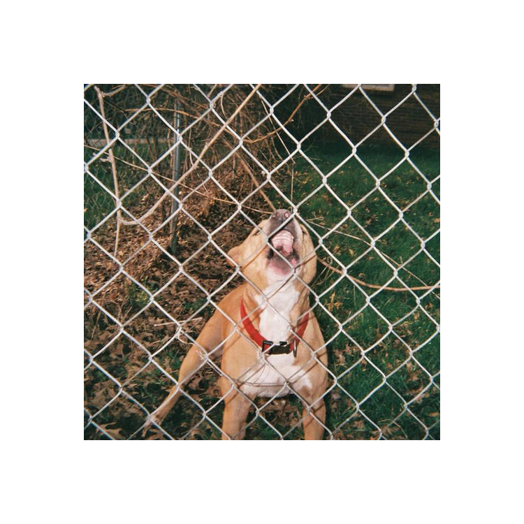 KNOCKED LOOSE - Pop Culture (Black, Red & Orange Aside/bside)