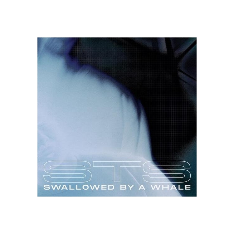 STS - Swallowed By A Whale