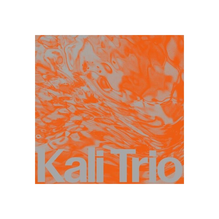 KALI TRIO - Playful Abstract