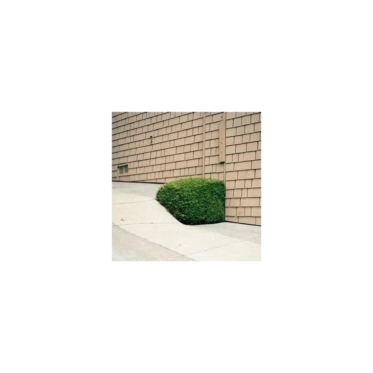 EZRA FEINBERG - Soft Power (Vinyl)