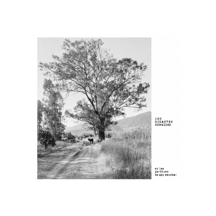 LOS GIGANTES DORMIDOS - Los Jardines De Mis Ab...