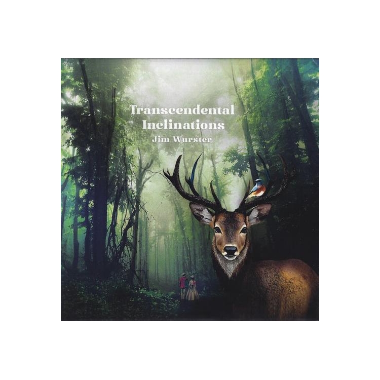 JIM WURSTER - Transcendental Inclinations