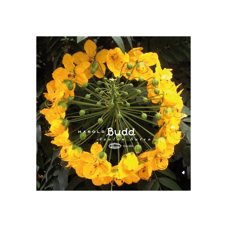 HAROLD BUDD - Avalon Sutra