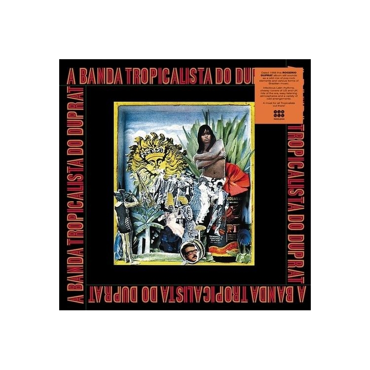 ROGERIO DUPRAT - Banda Tropicalista Do Duprat