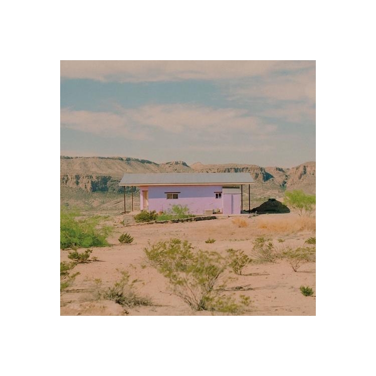LAVENDER - We're Having A Barn Dance (Limited Lilac Coloured Vinyl)