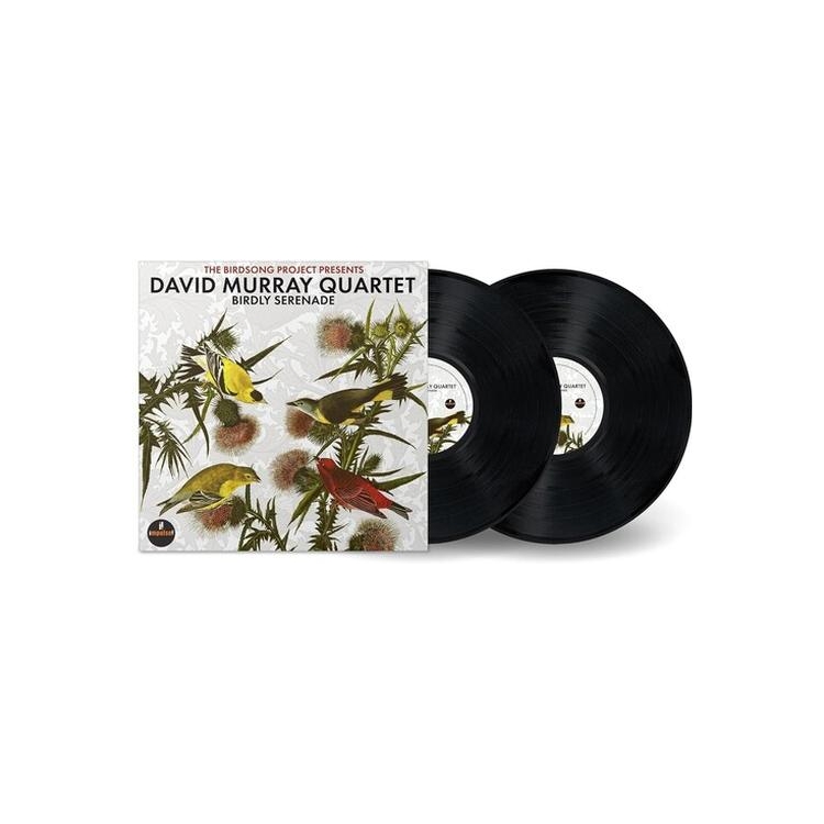 DAVID MURRAY - Birdly Serenade