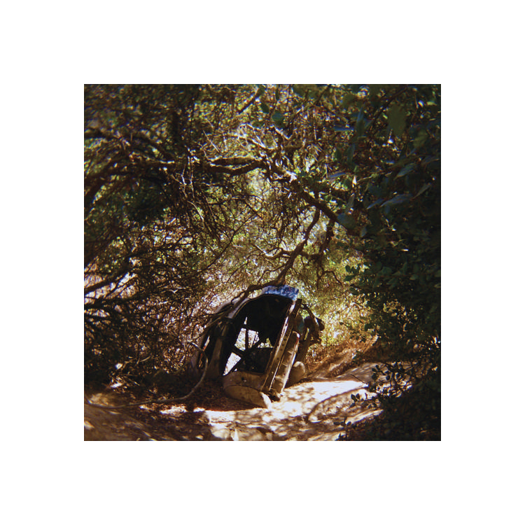 TY SEGALL - Possession