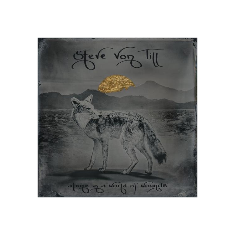 STEVE VON TILL - Alone In A World Of Wounds