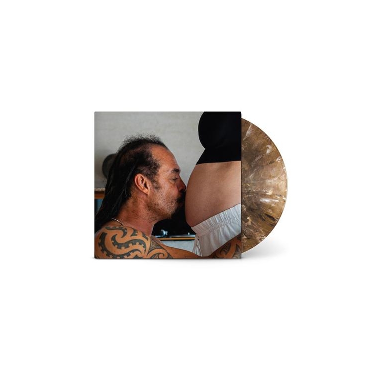 MICHAEL FRANTI & SPEARHEAD - Welcome To The Family (Metallic Eco-mix Lp)