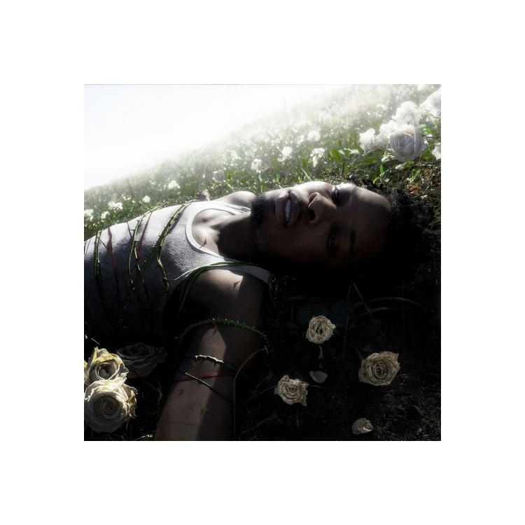 DAVD - Withered (Pure Cloudy White Vinyl) (+signed Insert) (I)
