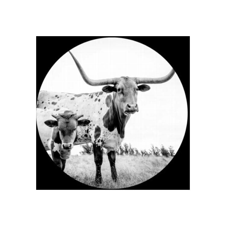 MIKE FLANIGIN - West Texas Blues