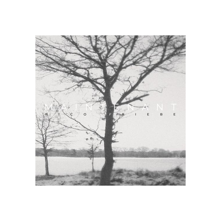 FRIEBE RICO - Maintenant (Vinyl)
