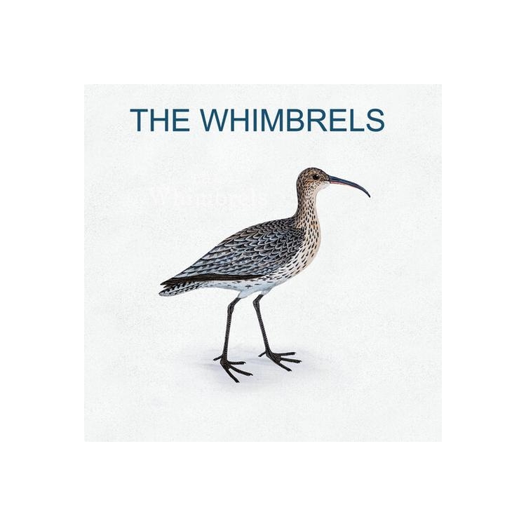 WHIMBRELS - Whimbrels