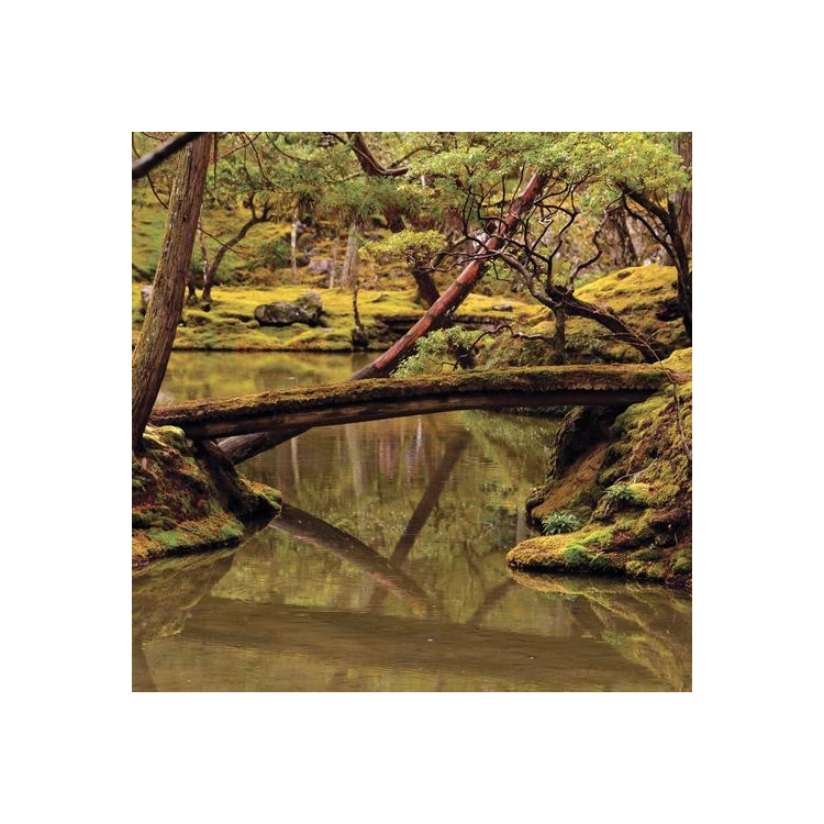 REBECCA FOON & ALIAYTA FOON - Dancoes - Reverie [lp] (180 Gram)