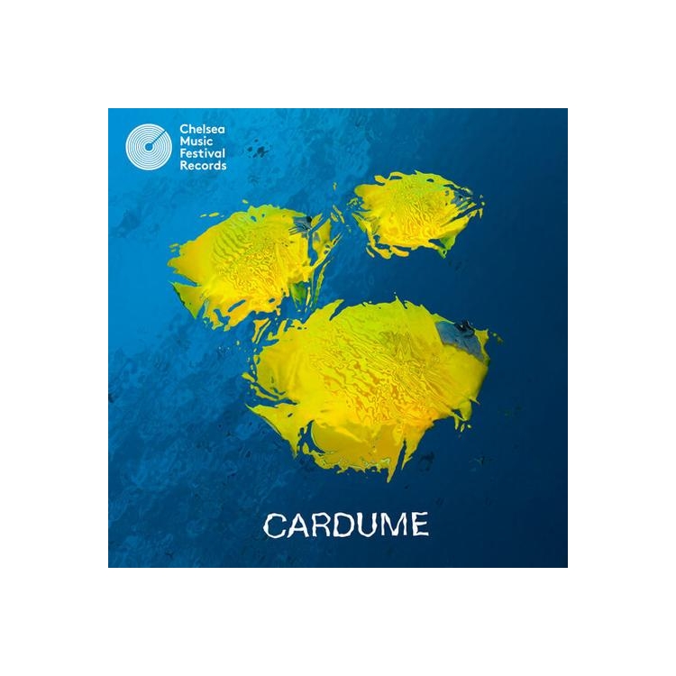 CARDUME - Cardume [lp]