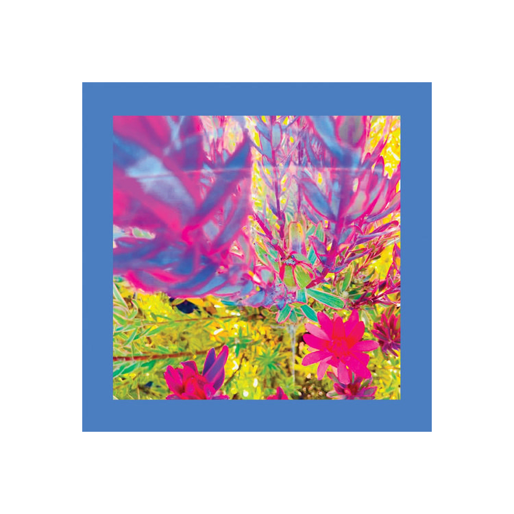 THE REDS PINKS AND PURPLES - Past Is A Garden I Never Fed, The (Limited Neon Pink Vinyl)