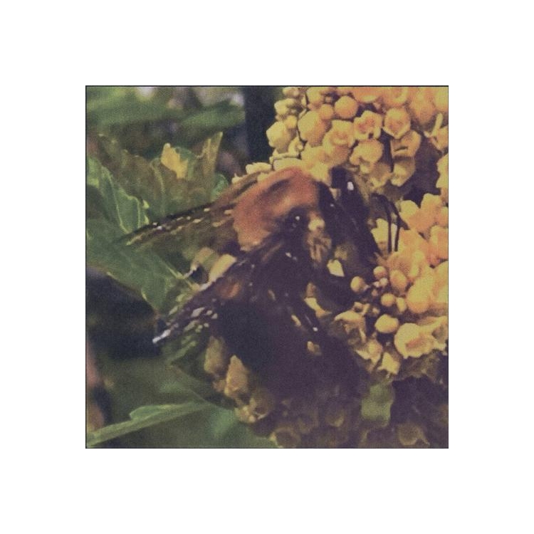 BRONCHO - Natural Pleasure (Translucent Green Vinyl)