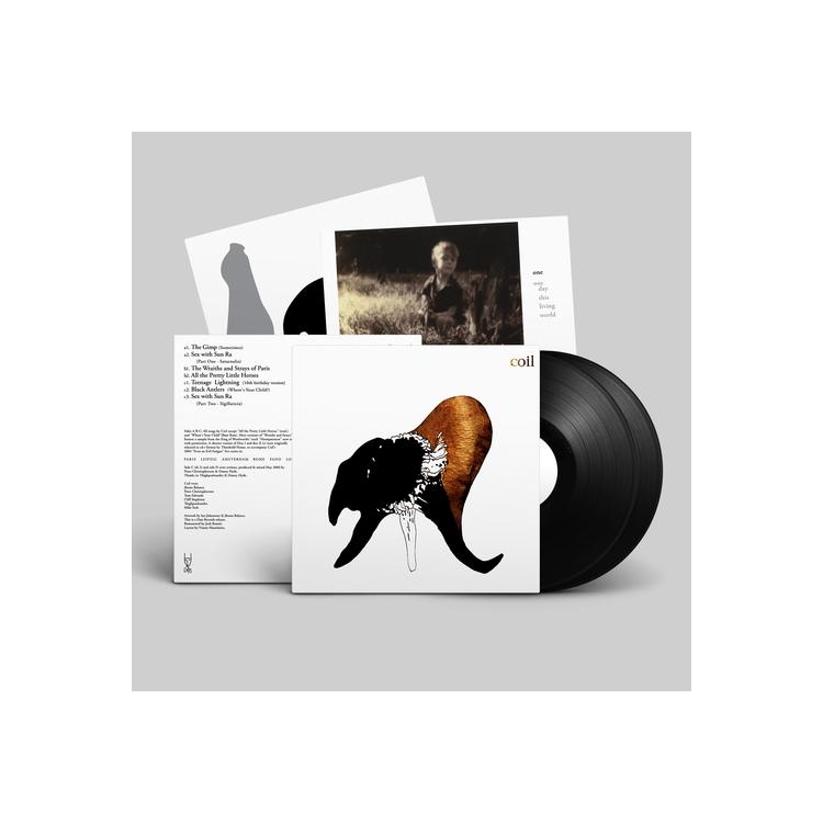 COIL - Black Antlers