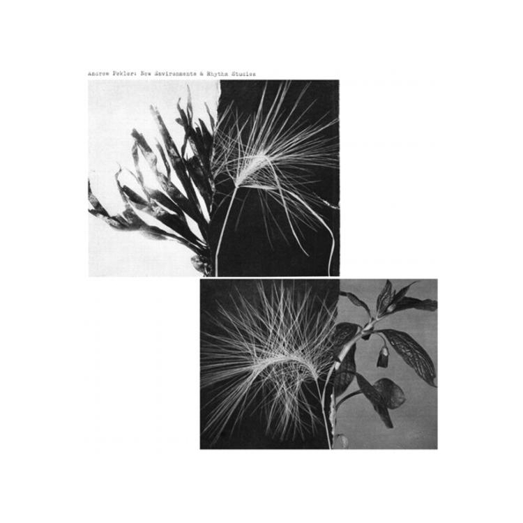 ANDREW PEKLER - New Environments & Rhythm Studies