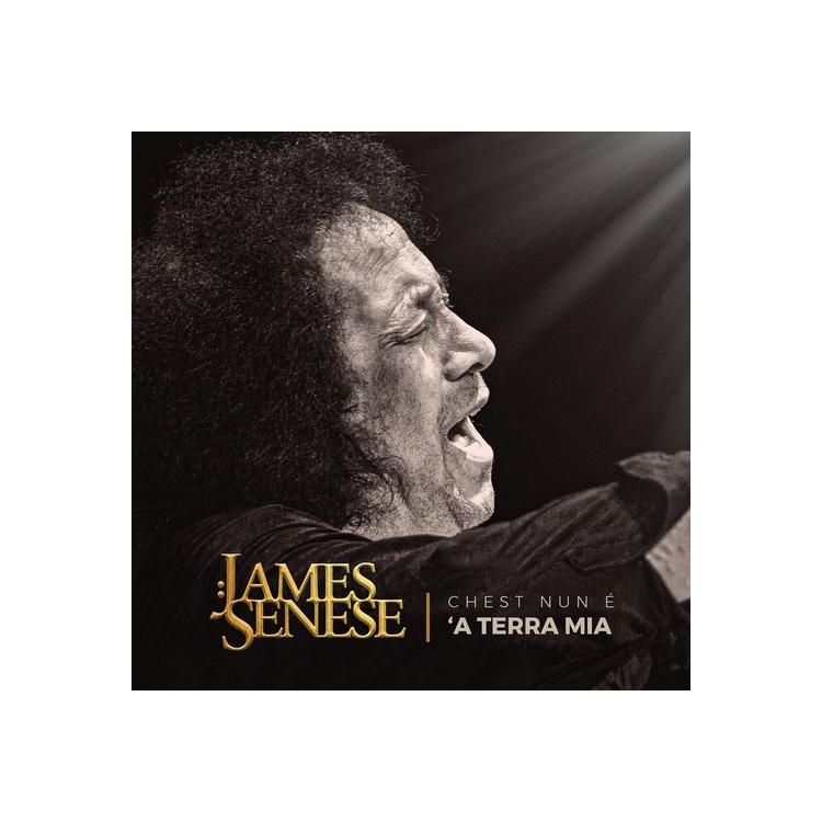 JAMES SENESE - Chest Nun E A Terra Mia