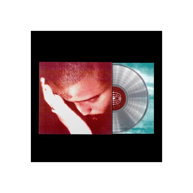 NOURISHED BY TIME - The Passionate Ones (Clear Vinyl)