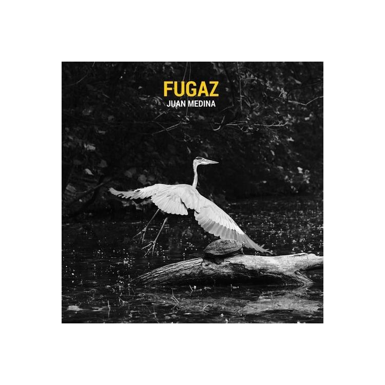 JUAN MEDINA - Fugaz