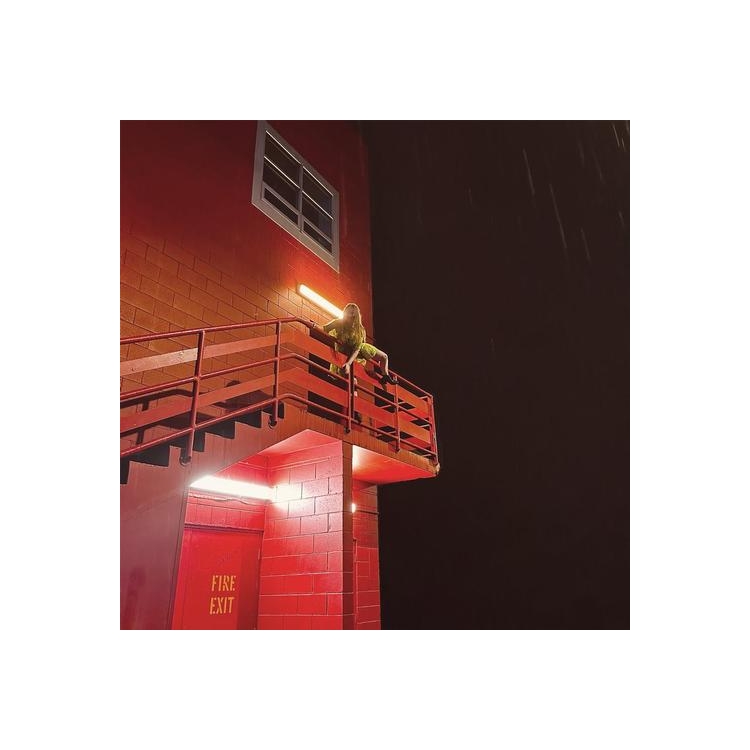 PLACEMENT - Insect