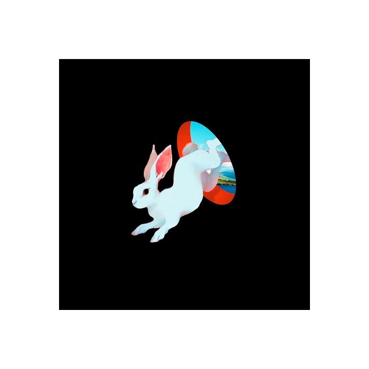 GANSER - Animal Hospital