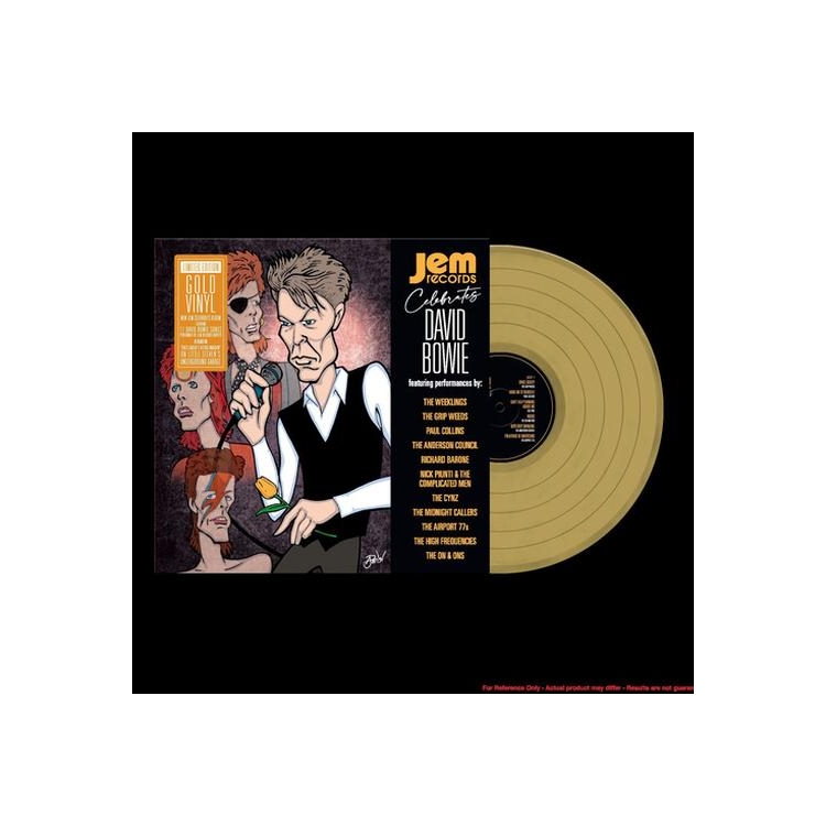 VARIOUS ARTISTS - Jem Records Celebrates David Bowie